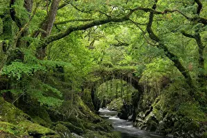 Roman Bridge & woodland near the village of Penmachno near Betws-y-Coed, Snowdonian National Park, Wales, UK. Autumn (October) 2023
