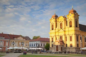 Timisoara Prints: Roman Catholic Cathedral in Piata Unirii, Timisoara, Banat, Romania