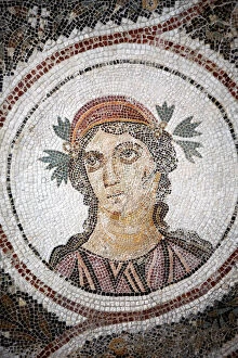 Images Dated 1st September 2011: Roman mosaic (3rd century), Archaeological museum, El Jem, Tunisia