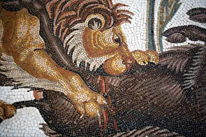 Roman mosaic (3rd century), Archaeological museum, El Jem, Tunisia