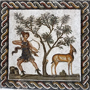 North African Gallery: Roman mosaic, Bardo museum, Tunis, Tunisia