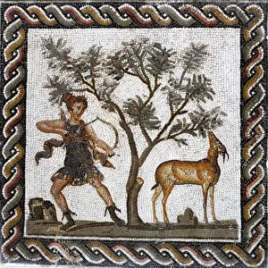 Images Dated 1st September 2011: Roman mosaic, Bardo museum, Tunis, Tunisia