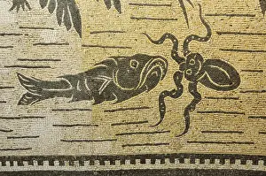 Octopus Prints: Roman mosaics, 2sd century AD. Collection of the Palazzo Massimo / Museo Nazionale Romano