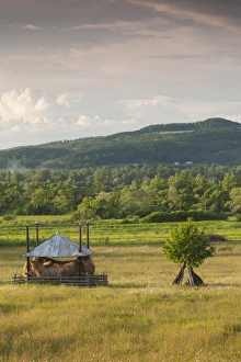 Maramures Prints: Romania, Maramures Region, Sarasau, haystack by the Ukranian frontier, late afternoon