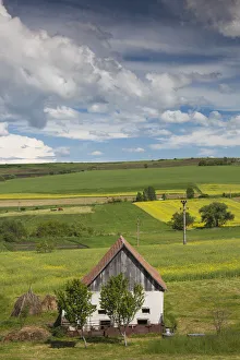 Transylvania Prints: Romania, Transylvania, Tarnaveni, farm and fields, spring