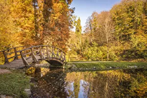 Images Dated 3rd November 2022: Romantic bridge and pond in the Furstenlager State Park, Bensheim , Southern Hesse, Hesse, Germany