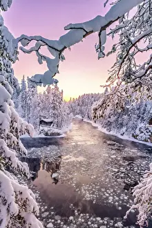 Fir Tree Prints: Romantic sky at dawn over the old mill and icy rapids framed by snowy trees