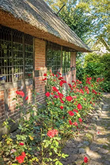 Late Summer Prints: Rose bed in the Ammerlaender Farmhouse open-air museum