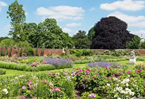 Royal Palace Collection: The Rose Garden, Hampton Court Palace, London, England