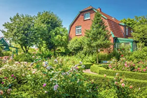 Rose Garden Prints: Rose garden of Spiekeroog, East Frisian Islands, East Frisia, Lower Saxony, Germany