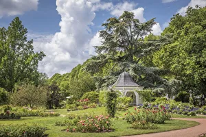 Bench Prints: Rose Garden of Zweibrücken, Rhineland-Palatinate, Germany