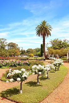 Buenos Aires Prints: The Rosedal Garden (Rosedal de Palermo) in springtime
