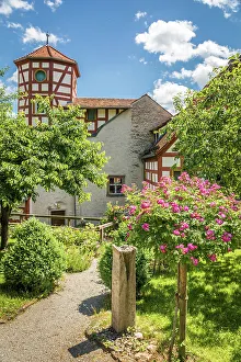 Rosengarten and Romschloessle in Creglingen, Romantic Road, Taubertal, Baden-Wurttemberg, Germany