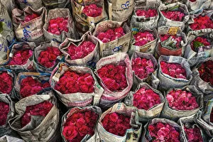 Flower Market Gallery: Roses for sale, flower market, nr Chinatown, Bangkok, Thailand