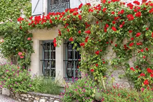 Tourist Destination Prints: Roses surround a window, Martel