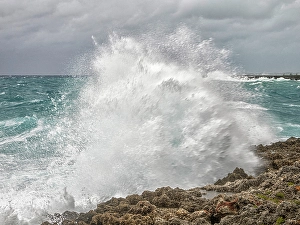Powerful Prints: Rough sea along Grand Cayman's ironshore at Pedro St