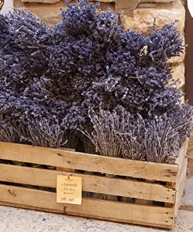 Lavendar Prints: Rousillion; France. A basket of lavender for sale in southern France