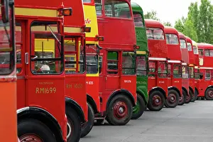 Icon Prints: Routemaster buses parade at the 70th anniversary of the first Routemaster bus