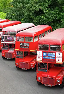 Red Bus Prints: Routemaster buses parade at the 70th anniversary of the first Routemaster bus
