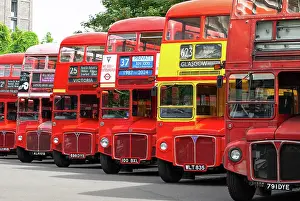 Red Bus Prints: Routemaster buses parade at the 70th anniversary of the first Routemaster bus