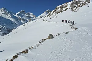 Snowshoeing Prints: row of snowshoeing is directed towards the summit Cufercalhutte, Switzerland