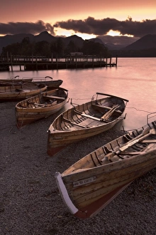 Rowing Boats Prints: Rowing Boats