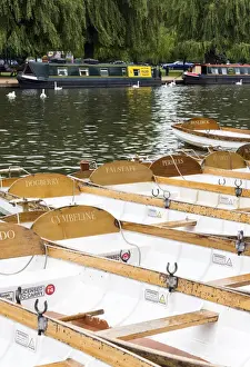 William Shakespeare Prints: Rowing boats named after Shakespearean characters on the River Avon at Stratford-upon-Avon