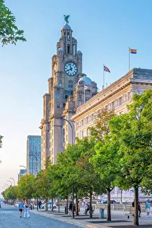 Royal Liver Building & Cunard Building, Liverpool, Merseyside, England, UK