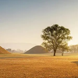 Royal Tombs Prints: Royal tombs of Inwang-dong (UNESCO World Heritage Site) at sunrise, Gyeongju, South Korea