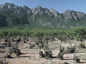 Socotra Prints: The rugged outline of the Haghir Mountains from Croton