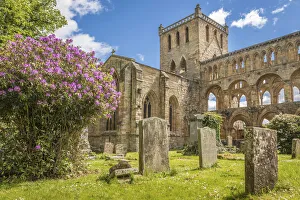 Ruin of Jedburgh Abbey, Jedburgh, Scotish Borders, Scotland, Great Britain