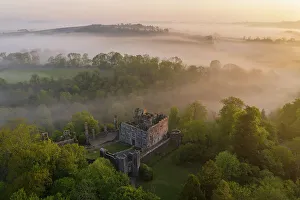 Images Dated 12th June 2023: The ruins of Berry Pomeroy Castle at dawn on a misty morning, Devon, England. Spring (May) 2023