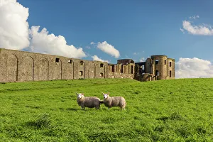 National Trust Prints: Ruins of Downhill Demesne Mansion ruins