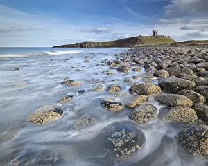 Northumberland Prints: The ruins of Dunstanburgh Castle overlooking the boulder strewn shores of Embleton Bay
