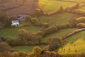 Rural cottage in idyllic countryside surroundings, Dartmoor National Park, Devon, England