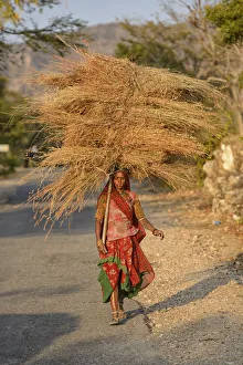 Straw Prints: Rural countryside Kumbhalgar Fortress, Rajasthan, India, Asia