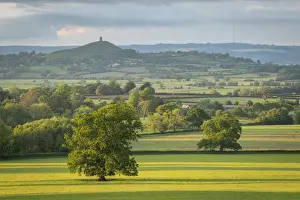 Rural countryside of the Somerset Levels near Glastonbury Tor, Somerset, England