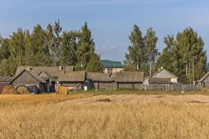 Vladimir Region Prints: Rural landscape, Vladimir region, Russia