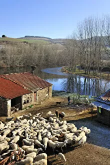 Images Dated 8th March 2012: Rural scene in Gimonde. Montesinho Natural Park, Portugal
