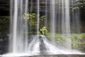 Russell Falls in Mount Field National Park