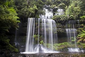 Water Fall Collection: Russell Falls in Mount Field National Park