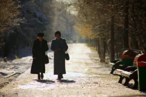 Elderly Prints: Russia, Far East, Sakhalin; Yuzhno-Sakhalinsk; Two elderly woman walking amidst trees in the main park of
