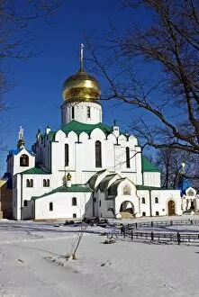 Images Dated 19th February 2008: Russia, St Petersburg, Tsarskoye Selo (Pushkin)