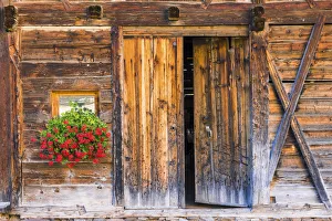 Geraniums Prints: Rustic Barn Door & Geraniums, Val di Funes, Dolomites, South Tyrol, Italy