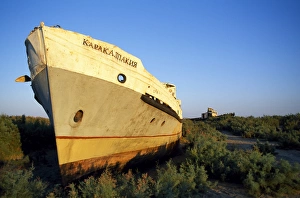 Central Asian Gallery: The rusting hulls of old Russian ships lie abandoned