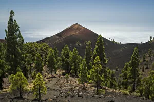 Images Dated 6th October 2021: Ruta de los Volcanes (Volcano Route). La Palma, Canary