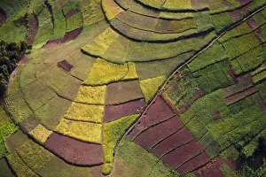 Harvesting Prints: Rwanda. In the most densely populated country in Africa terracing is used to maximise