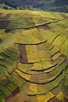Images Dated 1st March 2011: Rwanda. In the land of a thousand hills population density is at its highest