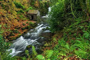 Cascading Prints: Rydal Beck & Hut in Autumn, Lake District National Park, Cumbria, England
