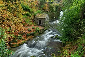 Cascading Prints: Rydal Beck & Hut in Autumn, Lake District National Park, Cumbria, England